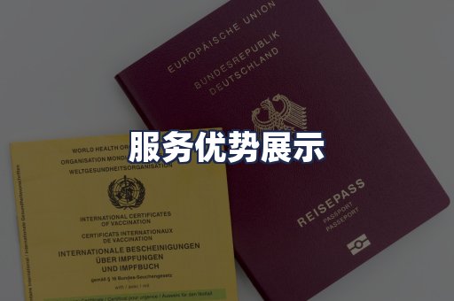 服务优势展示